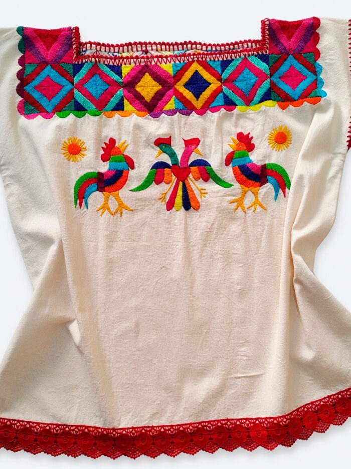 Gemini_Generated_Image_y9fwrny9fwrny9fw