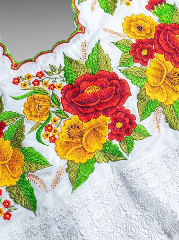 IMG_2559 (1) IMG_2559 (1)