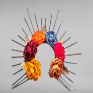 diademaistme1R (1) (1)