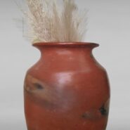 WhatsApp Image 2025-11-03 at 1.30.42 PM (2)