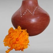 WhatsApp Image 2025-11-03 at 1.30.41 PM (4) (1)