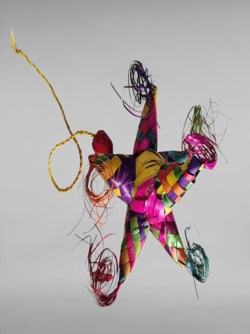 WhatsApp Image 2025-11-24 at 12.52.57 PM (6) (1)