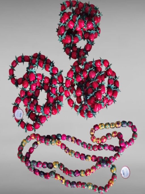 WhatsApp Image 2025-11-24 at 12.52.58 PM (2) (1)