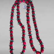 WhatsApp Image 2025-11-24 at 12.52.58 PM (5) (1)