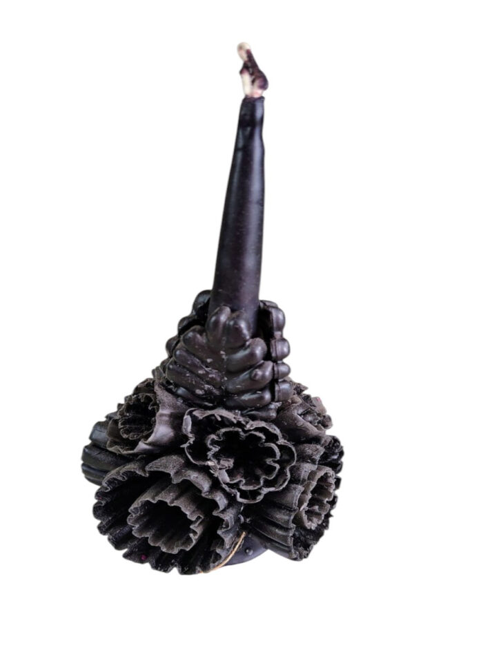 WhatsApp Image 2026-01-09 at 2.1343