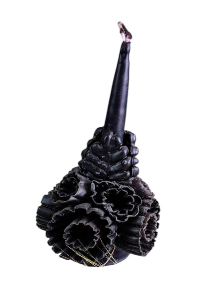 WhatsApp Image 2026-01-09 at 2.136