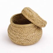 ChatGPT Image 1 feb 2026, 11_02_30 p.m.