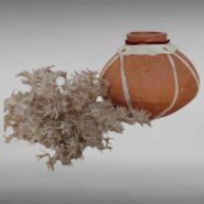 WhatsApp Image 2025-11-03 at 1.30