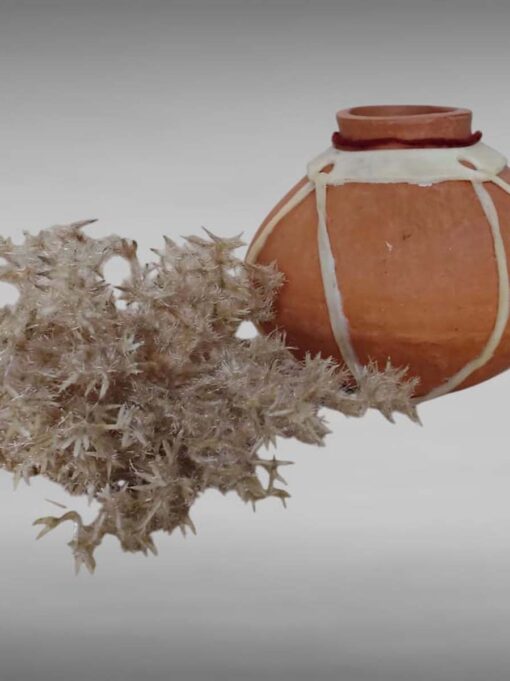 Olla decorativa de barro c/ curo de cabra- Guachochi, Chihuahua.