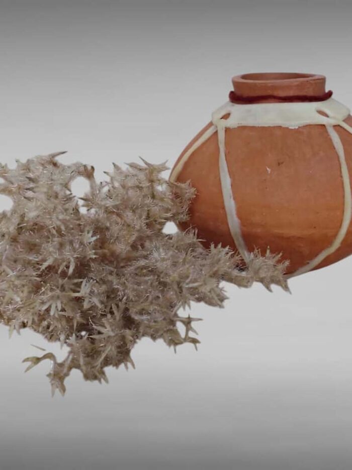 WhatsApp Image 2025-11-03 at 1.30