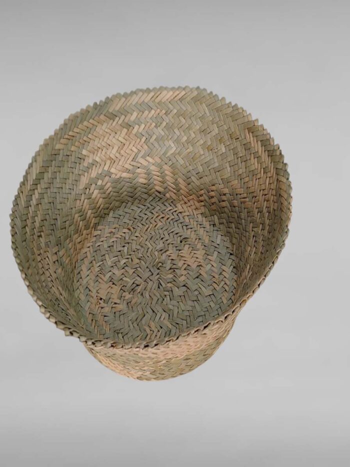 WhatsApp Image 2026-01-02 at 1.0908 WhatsApp Image 2026-01-02 at 1.0908