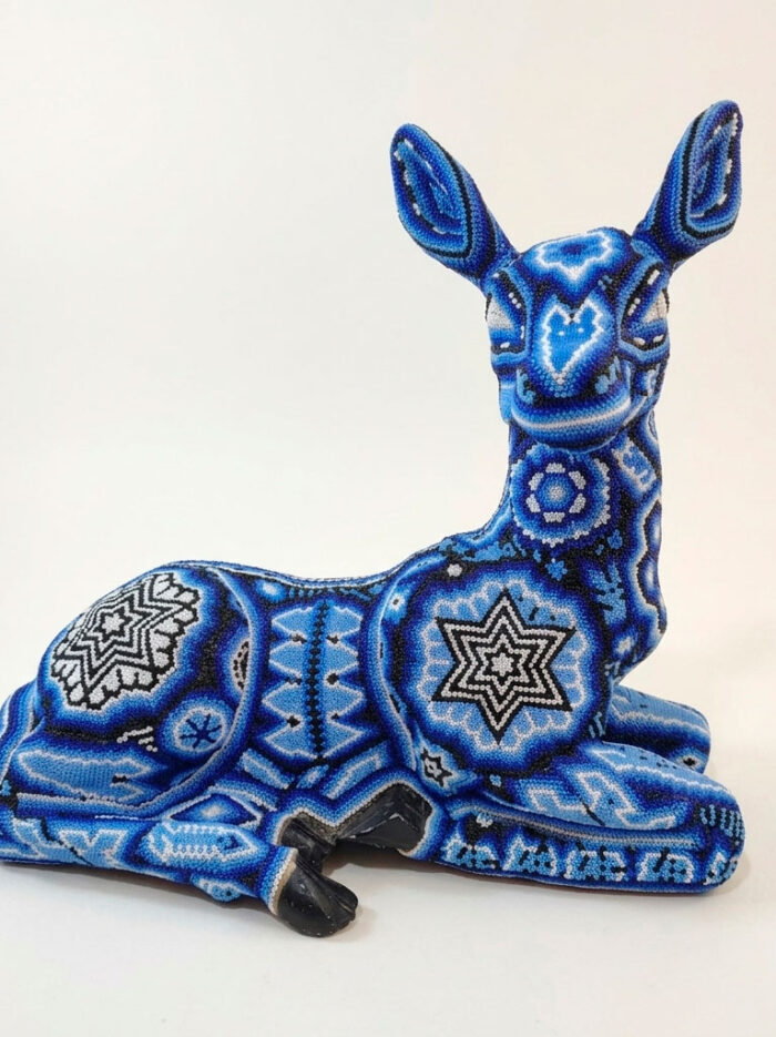 Gemini_Generated_Image_2gmrf22gmrf22gmr