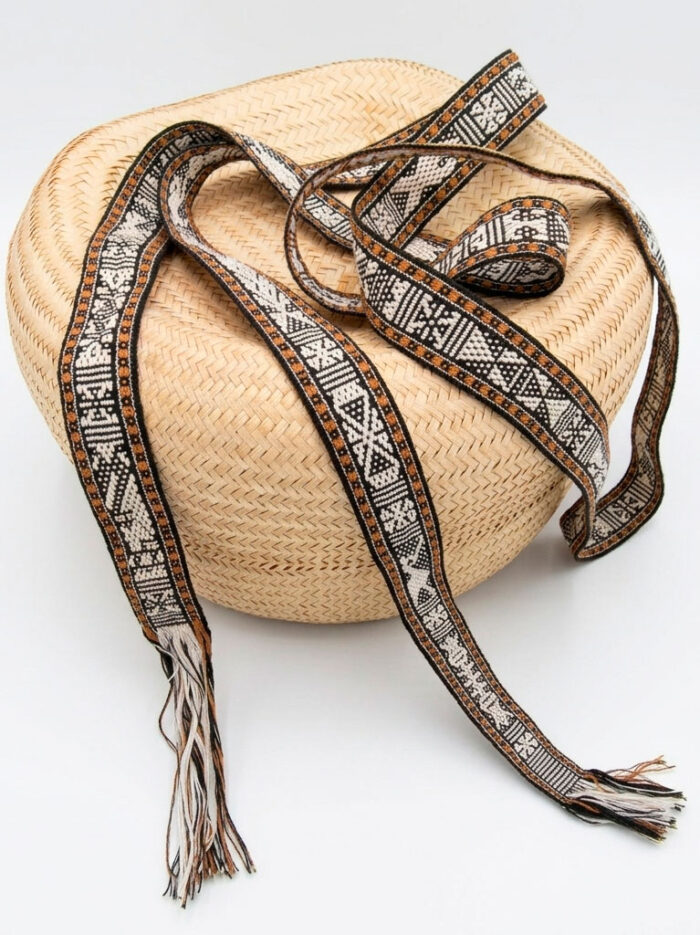 Gemini_Generated_Image_6e021u6e021u6e02