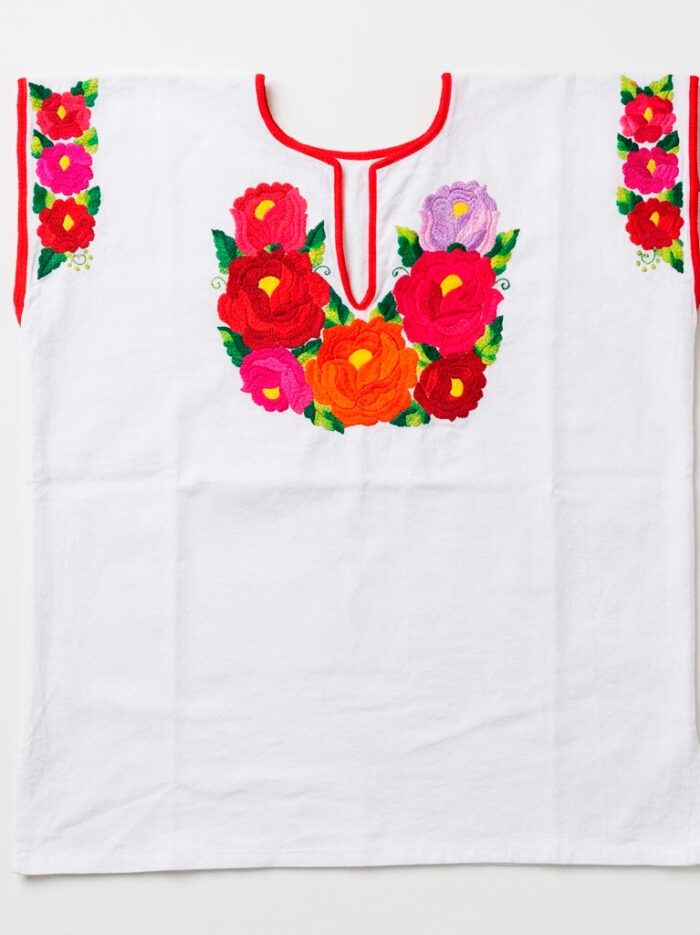 Gemini_Generated_Image_aizrc3aizrc3aizr